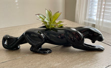 Load image into Gallery viewer, Ceramic Black Panther Planter
