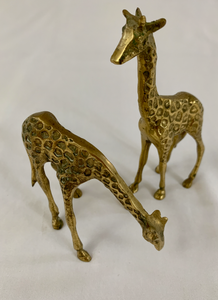 Brass Giraffe Set