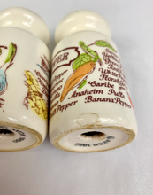 Load image into Gallery viewer, Avon &#39;Country Kitchen&#39; Salt and Pepper Shakers
