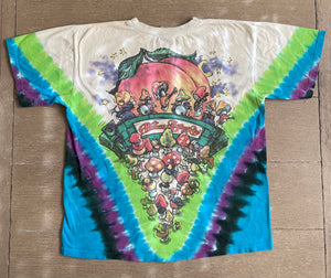 1997 Allman Brothers Concert Shirt