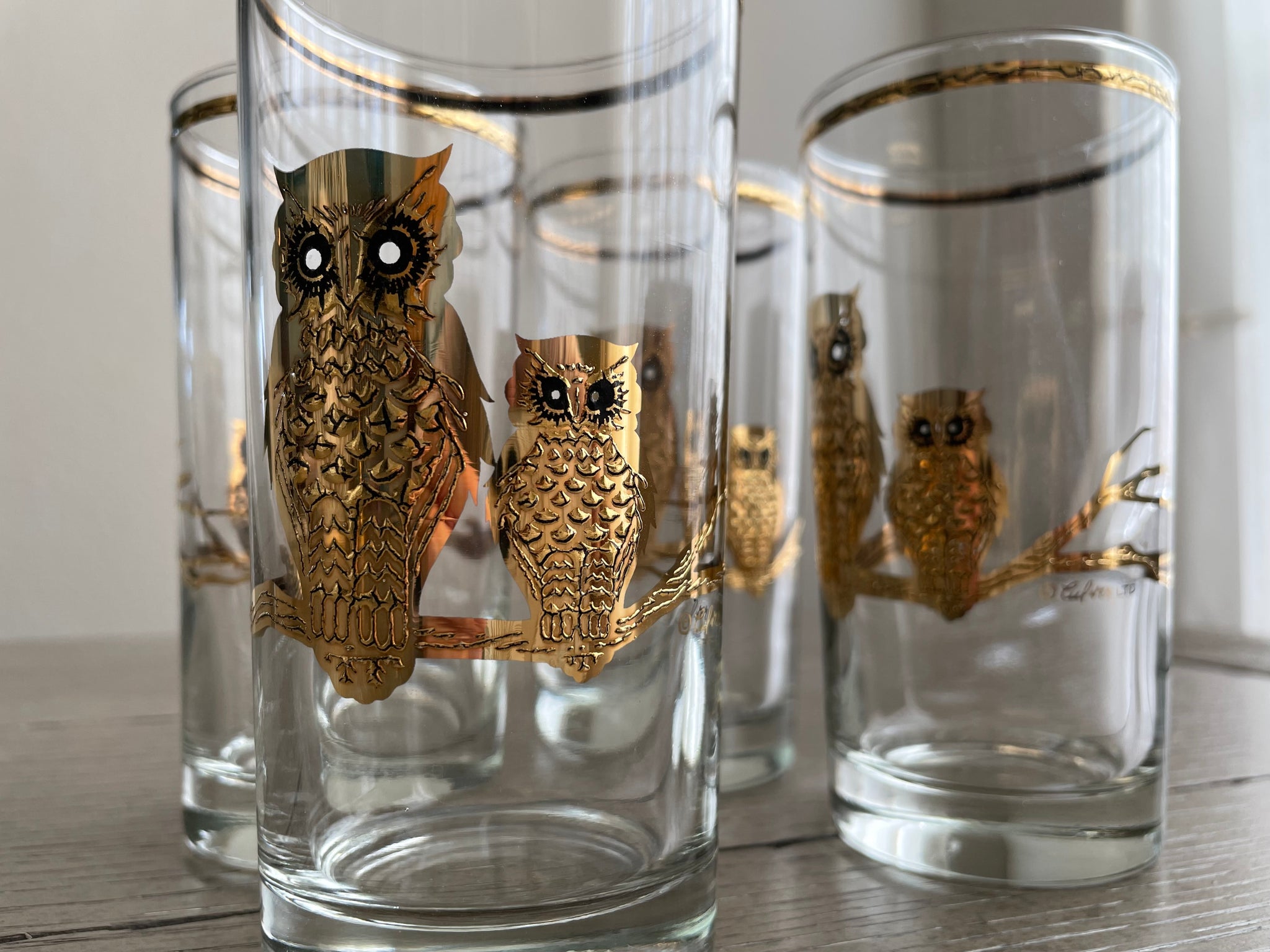 Hoot - Owl Assortment - High Ball Glasses - Set of 4